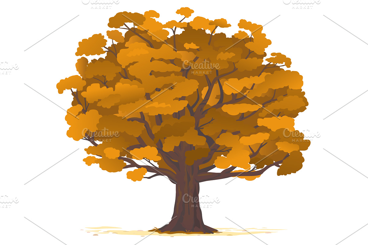 Set of oak tree in four seasons, an Illustration by Oceloti (Photo 5 of 5)