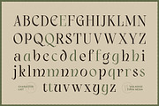 Vailnoise - Classic Vintage Serif, a Serif Font by Typia Nesia (Thumbnail 2 of 16)