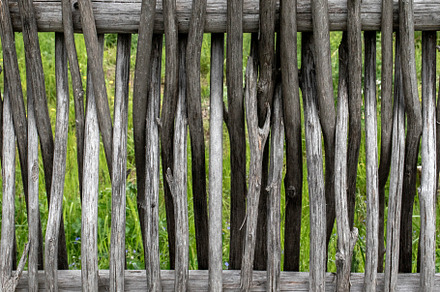Fragment of a lattice fence.
