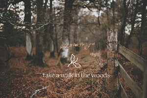 Woodland Icons Illustrations Forest