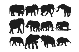 Elephant Silhouette Set 1 Procreate