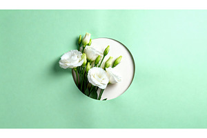 White lisianthus flowers in a, a Nature Photo by tilialucida