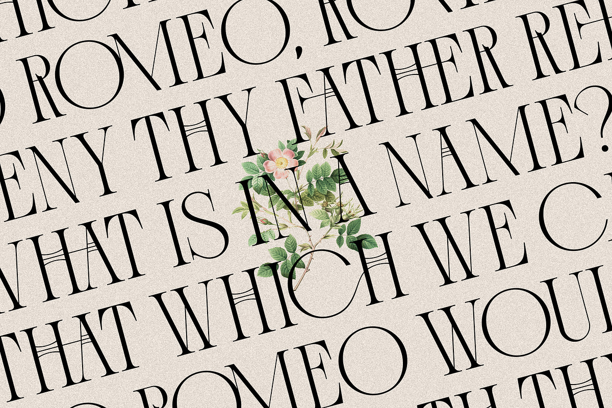 Cosmic Solace - Ligature Serif Font, a Serif Font by SilverStag Type Foundry (Photo 16 of 16)
