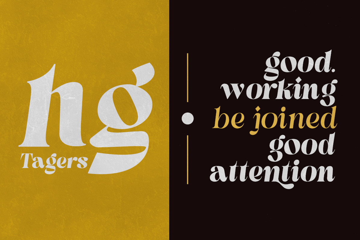 Pronela (Serif Family Typeface), a Font by Fontastic (Photo 3 of 15)