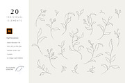 Minimalist Leaf Line Sketches, an Illustration by Galerie Design Studio (Thumbnail 2 of 6)