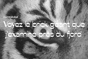 Conega Display Font, a Sans Serif Font by Hishand Studio (Thumbnail 10 of 10)