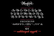 Mankind - Swirl Modern Script Font, a Script Font by Airotype (Thumbnail 11 of 13)
