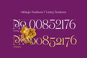 Bunga Pro | Romantic Font, a Script Font by Graptail (Thumbnail 12 of 14)