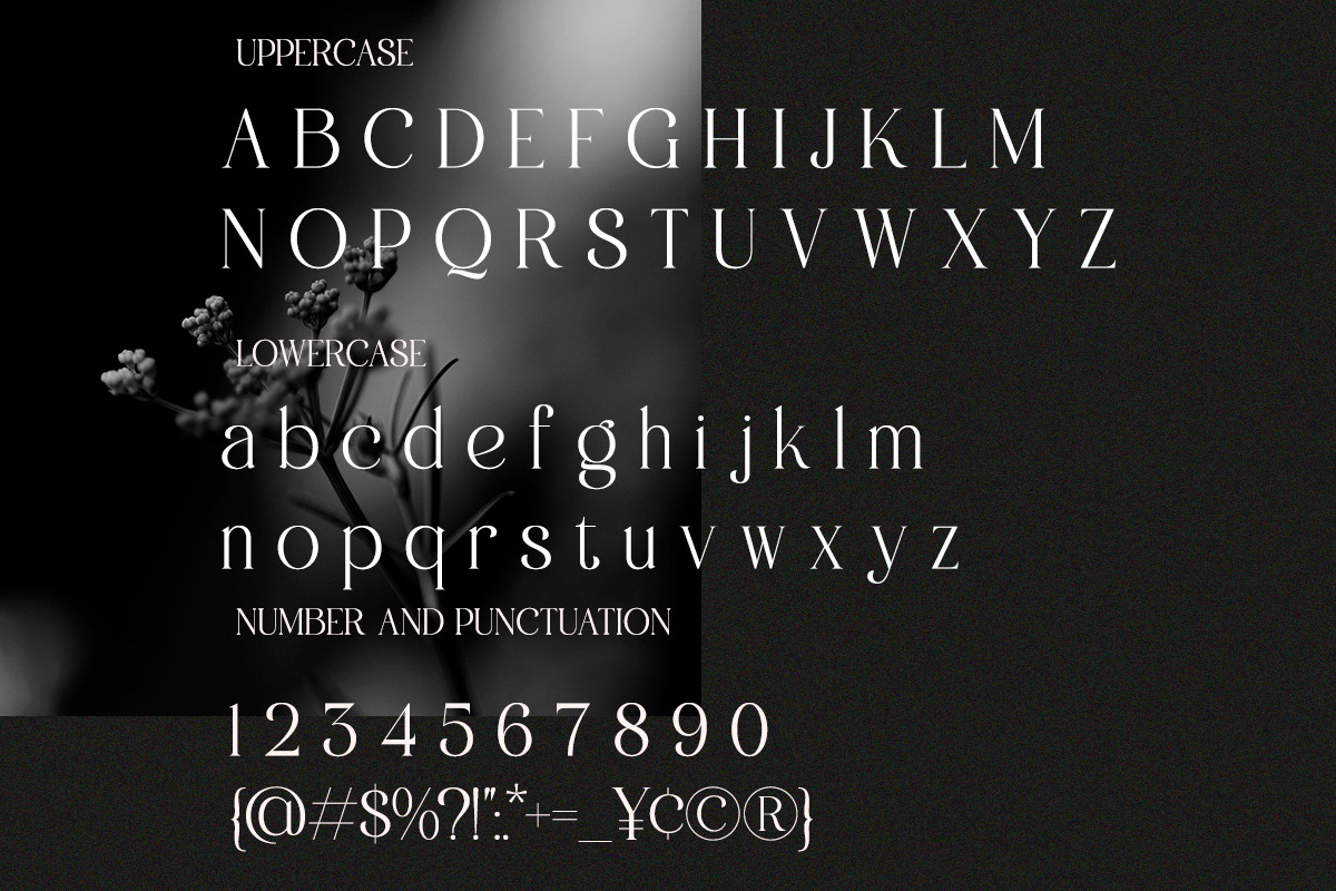 Augvari - Modern Luxury Serif, a Serif Font by Qweera Studio (Photo 12 of 12)