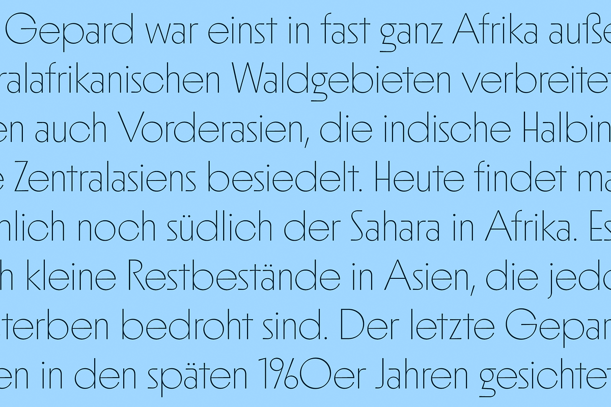 Suecia, a Sans Serif Font by Haus Type (Photo 6 of 7)