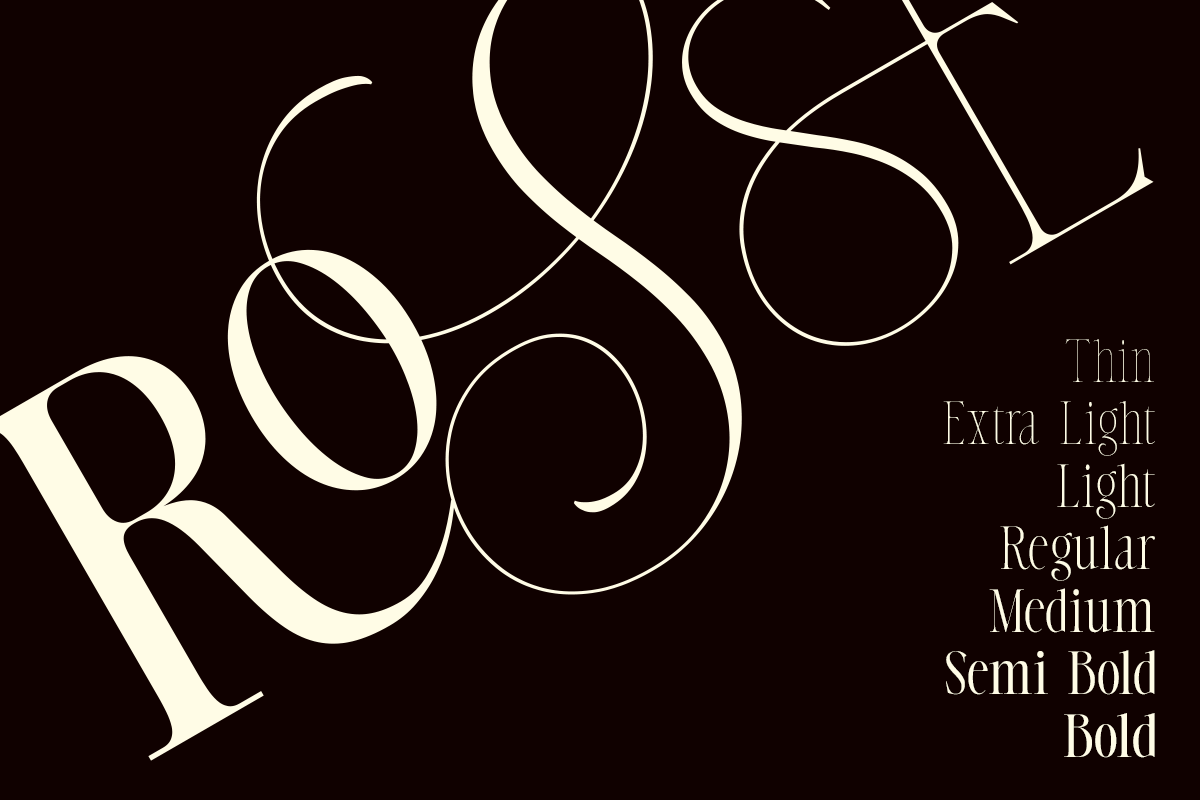 Dh Alista Aghni - 7 Serif Family, a Serif Font by Dharmas Foundry (Photo 5 of 16)