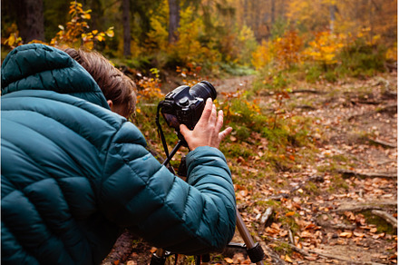 Travel photographer use camera and, a Nature Photo by oksix