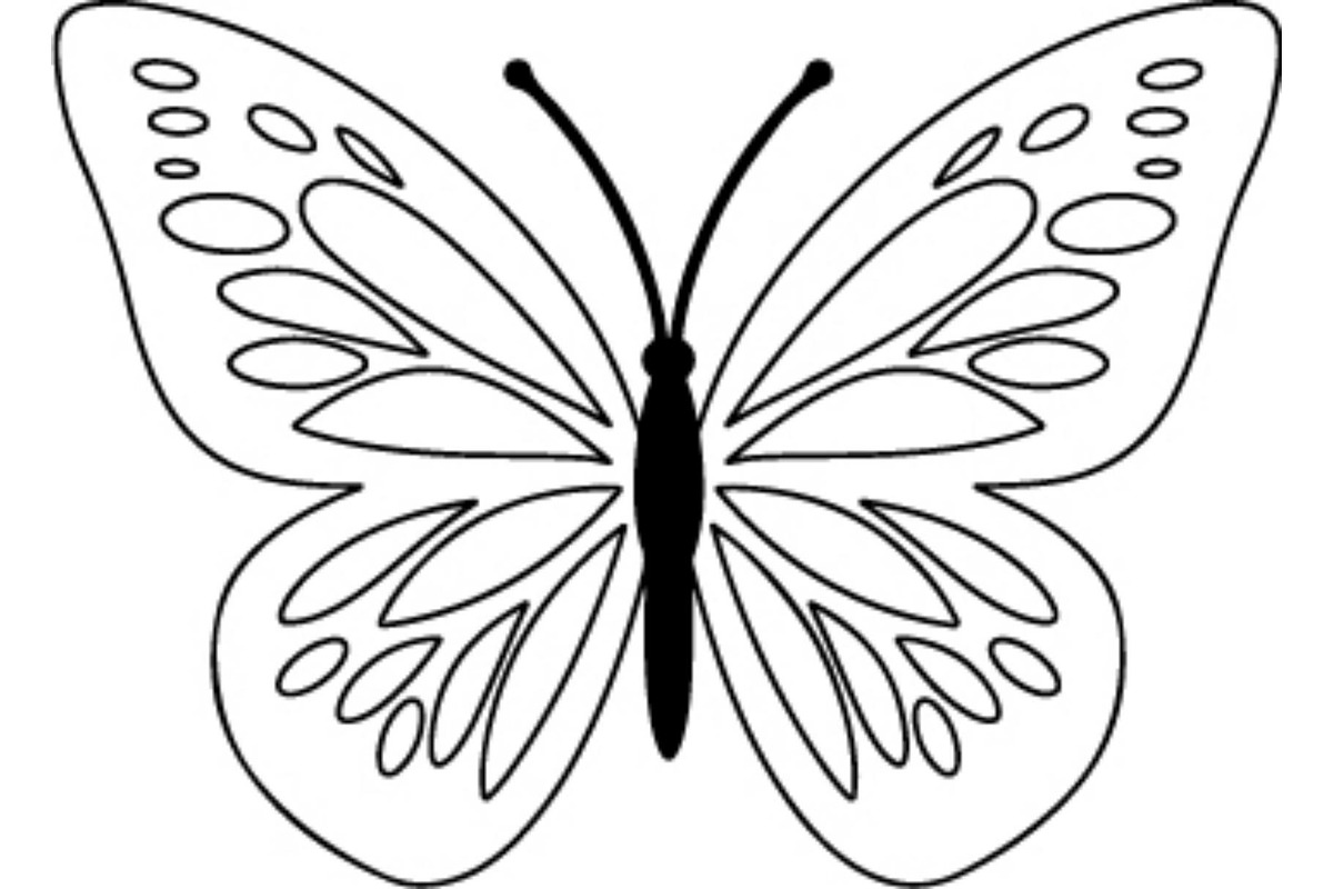 Butterfly SVG Bundle, an Object Graphic by Gfx_Store (Photo 2 of 16)