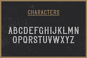 Golden Whiskey typeface, a Script Font by VozzyStock (Thumbnail 2 of 6)