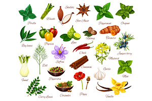 Spices, Culinary Herbs Seasonings