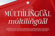 Delvira - Stylish Elegant Serif Font, a Serif Font by Font Liner (Thumbnail 9 of 10)