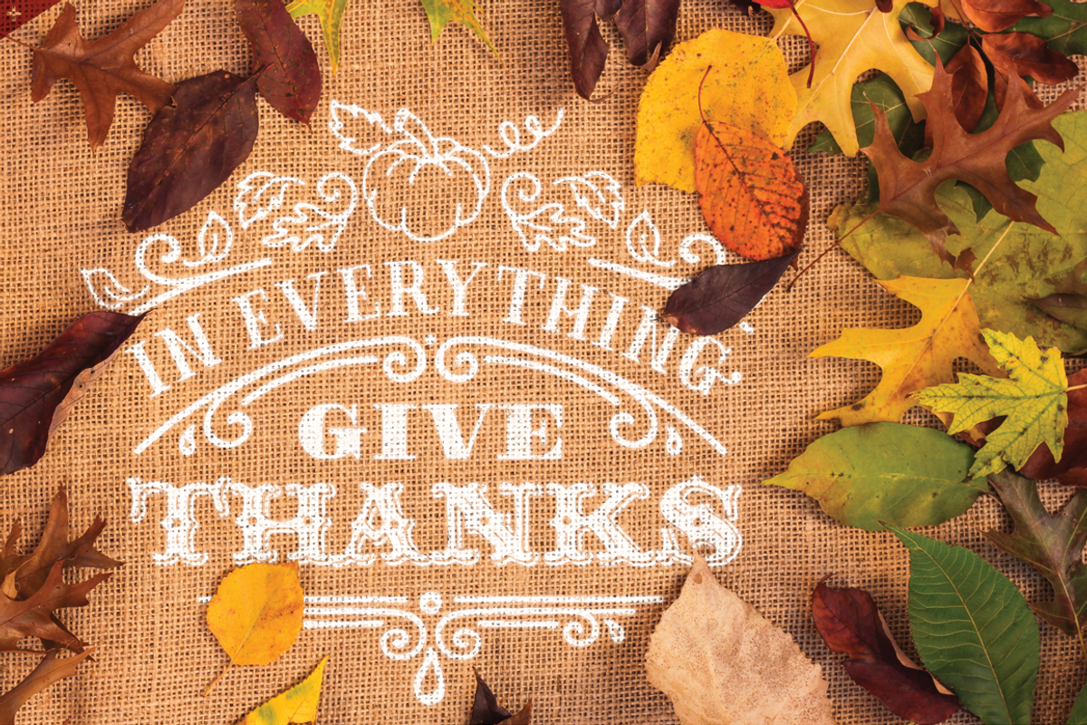 Thankful Complete preview 5