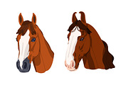 Horse heads set. Stallions breeds, an Animal Illustration by Good Studio (Thumbnail 3 of 12)