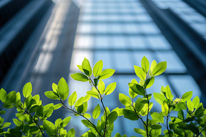 Tree branch with green leaves on business building background, a Nature Photo by AlyaAnd