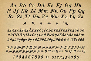 Attic Antique Italic