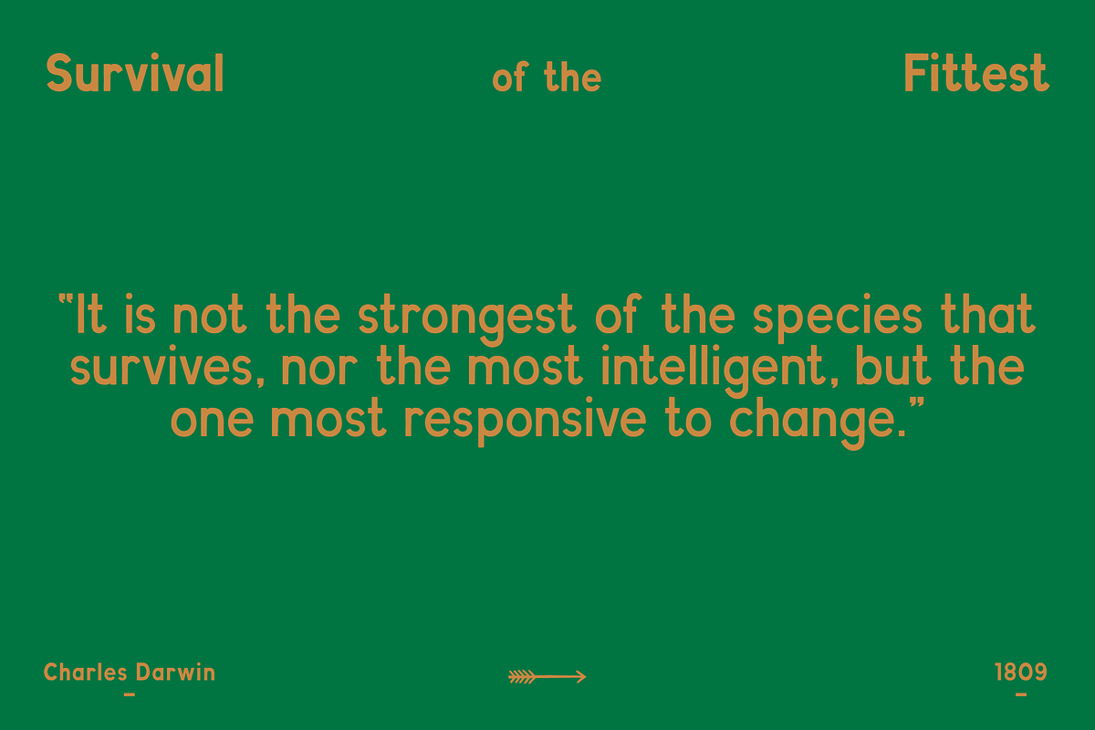 Evolved Font Family preview 6