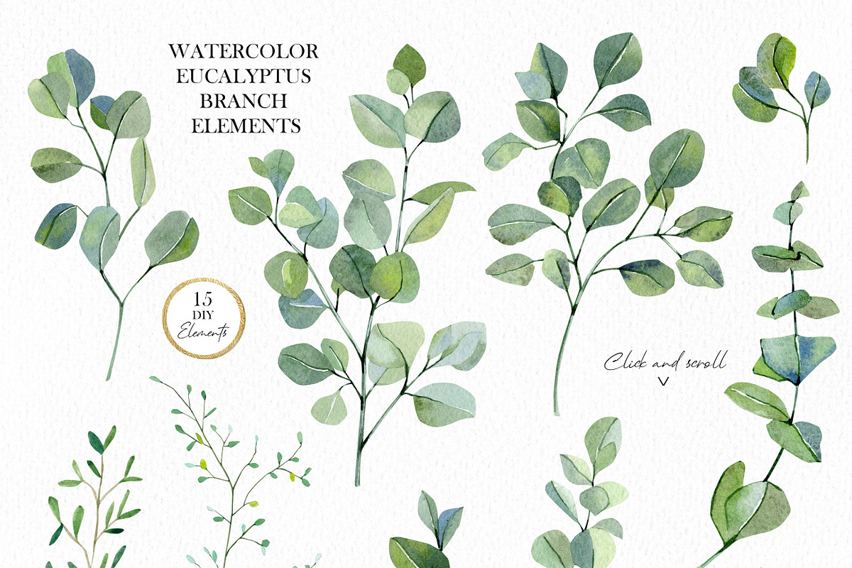 Watercolor EUCALYPTUS Greenery plant, a Decorative Illustration by AnnaTkachi (Photo 2 of 11)