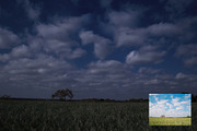 Day to Night Scene Photoshop Effect, a Templates & Theme by velvetmade.designs (Thumbnail 2 of 8)