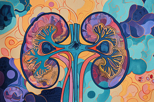 Human kidney hologram cross section, a Health & Medical Photo by Pixeness Studio