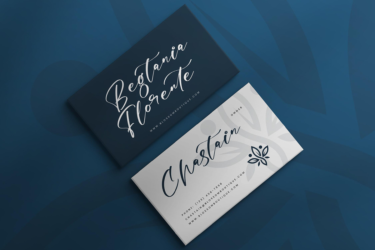 Magnotus Bractea Beautiful Script, a Script Font by Letterena Studios Script (Photo 5 of 15)