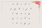 Belflower Script | Modern Signature, a Script Font by Muntab_Art (Thumbnail 9 of 12)