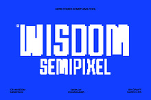 CS Wisdom Semipixel
