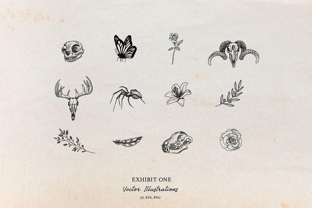 Logos & Lines | Until Nevermore, a Branding & Logo Template by Galaxybomb (Photo 4 of 14)