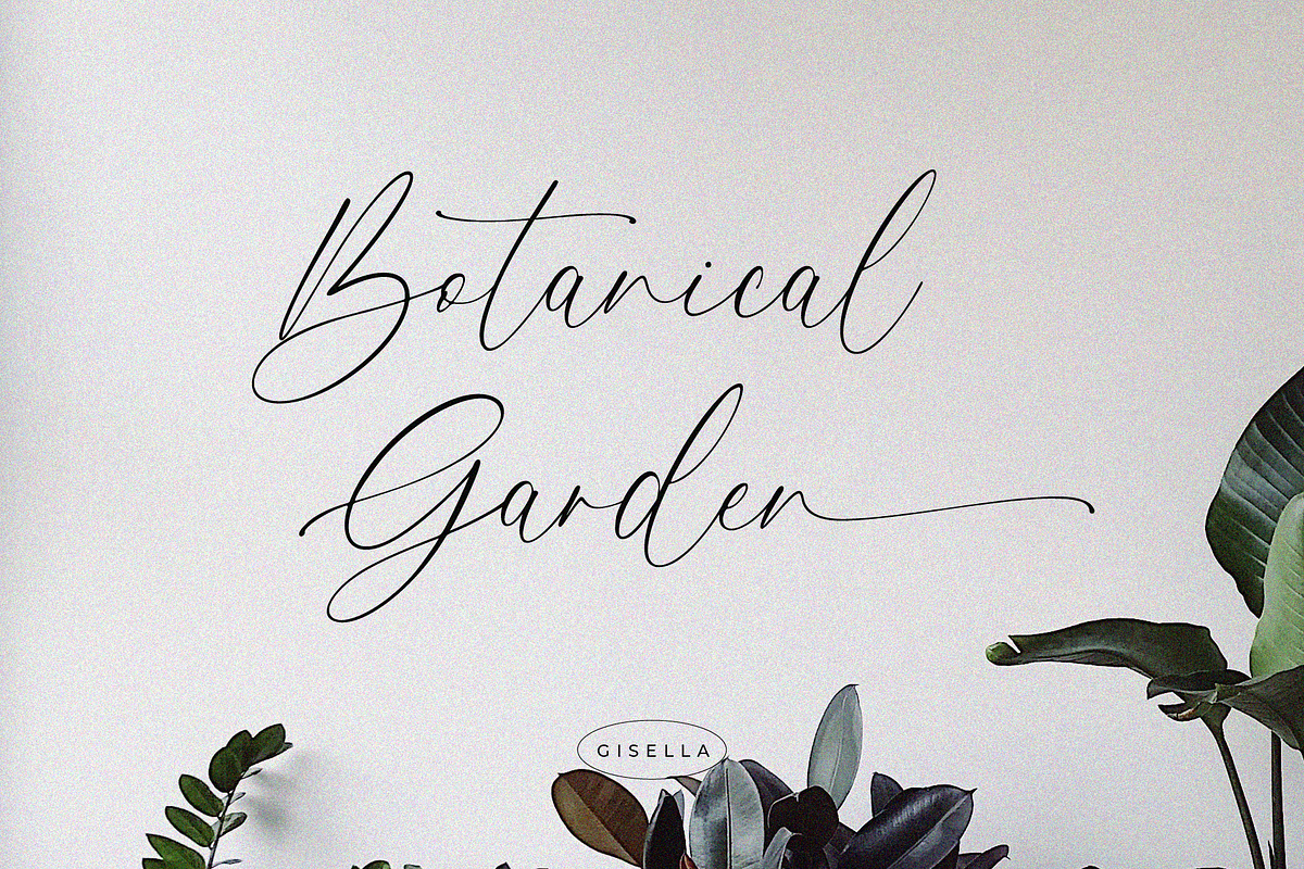 Gisella - Lovely Calligraphy Font, a Script Font by Pen Culture (Photo 8 of 11)
