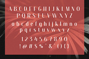 Mikimire - Elegant Sans Serif, a Sans Serif Font by Typeformers (Thumbnail 5 of 5)