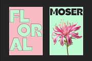 Moser | Font Family, a Sans Serif Font by Almond Type (Thumbnail 2 of 11)