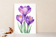 Watercolor Crocuses Clipart, an Illustration by Libby Wishes (Thumbnail 6 of 7)