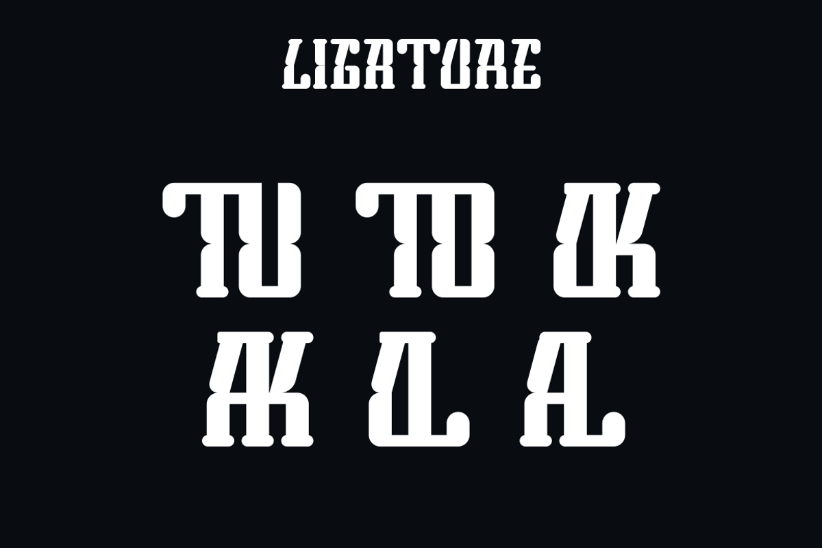Faels Goes, a Slab Serif Font by Viswal Studio (Photo 5 of 6)