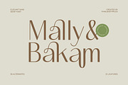Mozani Elegant Sans Serif Font, a Sans Serif Font by timelesstype.co (Thumbnail 16 of 20)