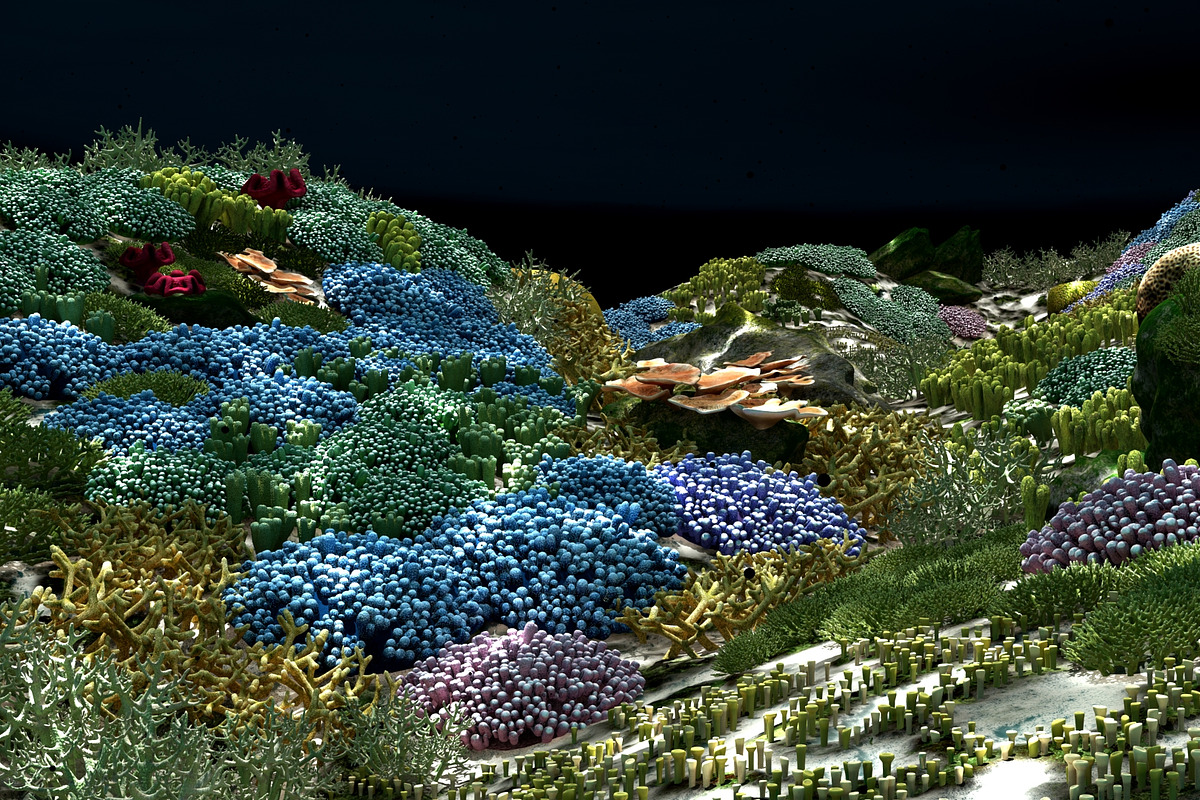3D Cartoon Underwater Coral Reef Hab, an Environmental 3D Model by NOMODOL (Photo 23 of 24)