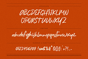 Natureal Script - Elegant Font, a Script Font by Invasi Studio (Thumbnail 9 of 10)