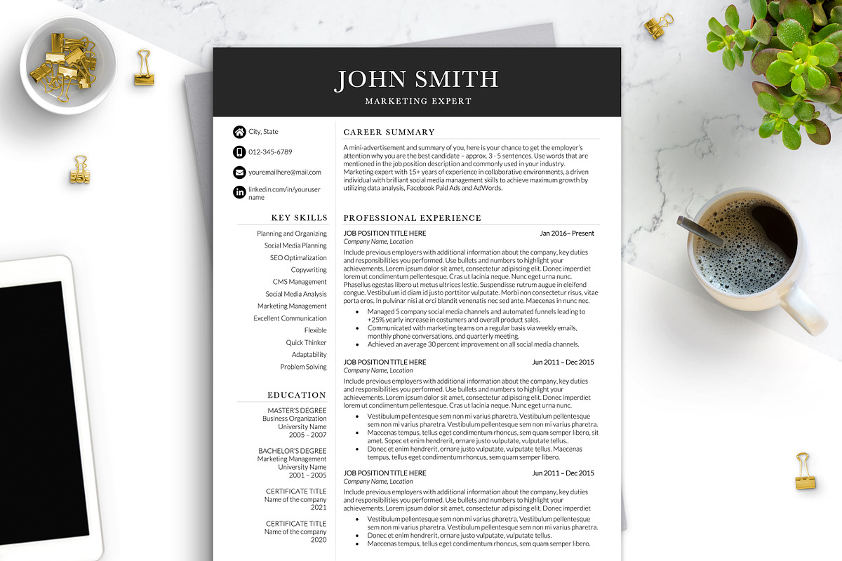 Professional Modern Resume Template, a Resume Template by BestResumes.Co (Photo 1 of 7)