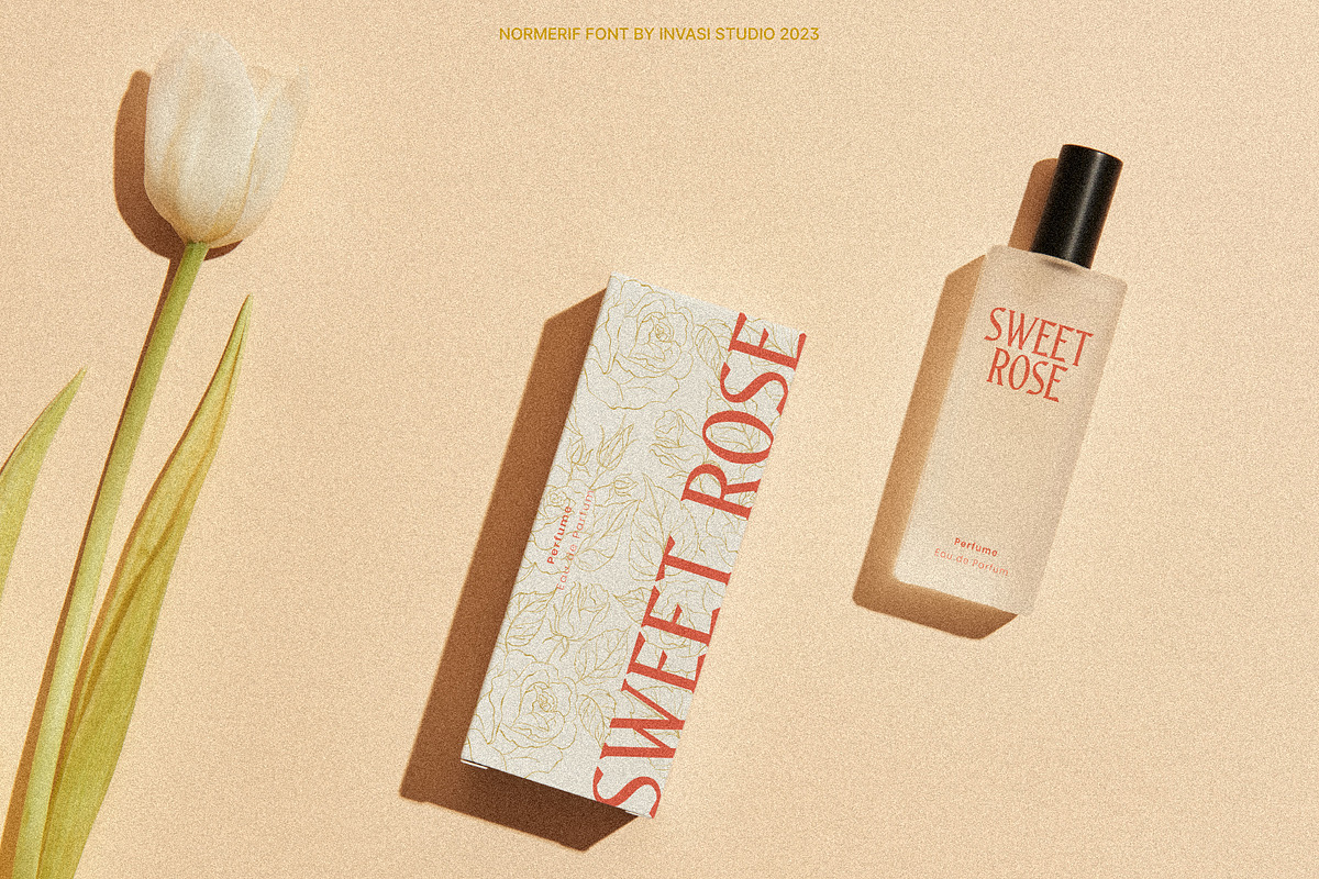Normerif - Elegant Display Serif, a Serif Font by Invasi Studio (Photo 9 of 10)