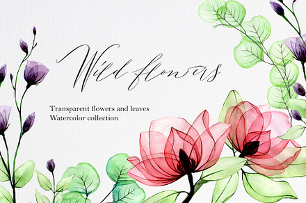 Wild roses. Watercolor flowers.