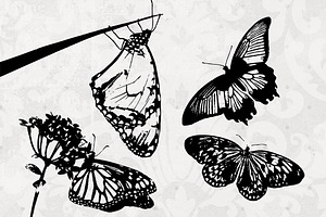 Butterflies! Vector Butterfly Art