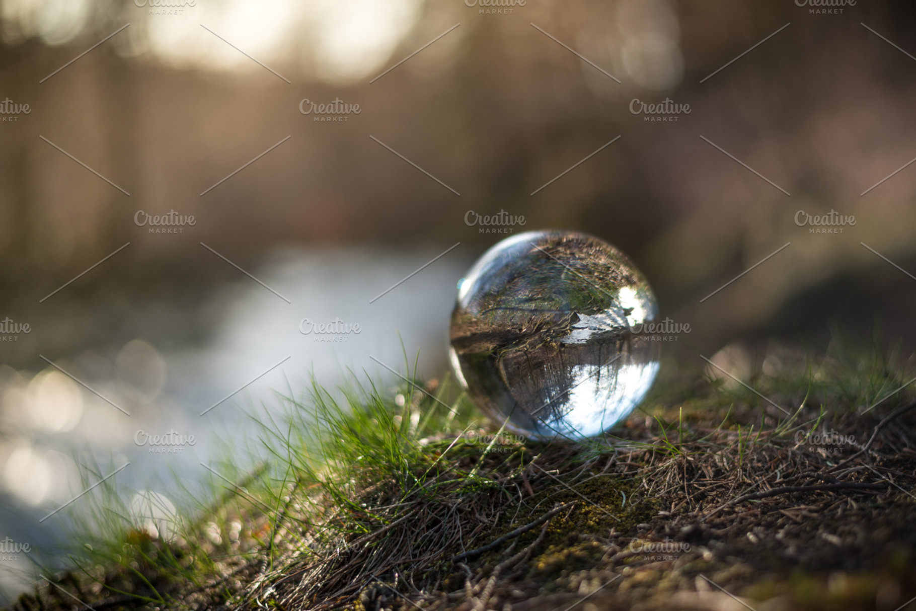 Forest worlds containing forest, nature, and landscape, a Nature Photo by Screeny's Photo Bucket