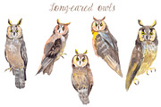 Watercolor Owls Bundle - 53 Owls, an Animal Illustration by YesFoxy (Thumbnail 7 of 11)