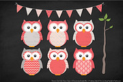 Owls Clipart & Patterns in Coral, an Animal Illustration by Amanda Ilkov (Thumbnail 3 of 4)