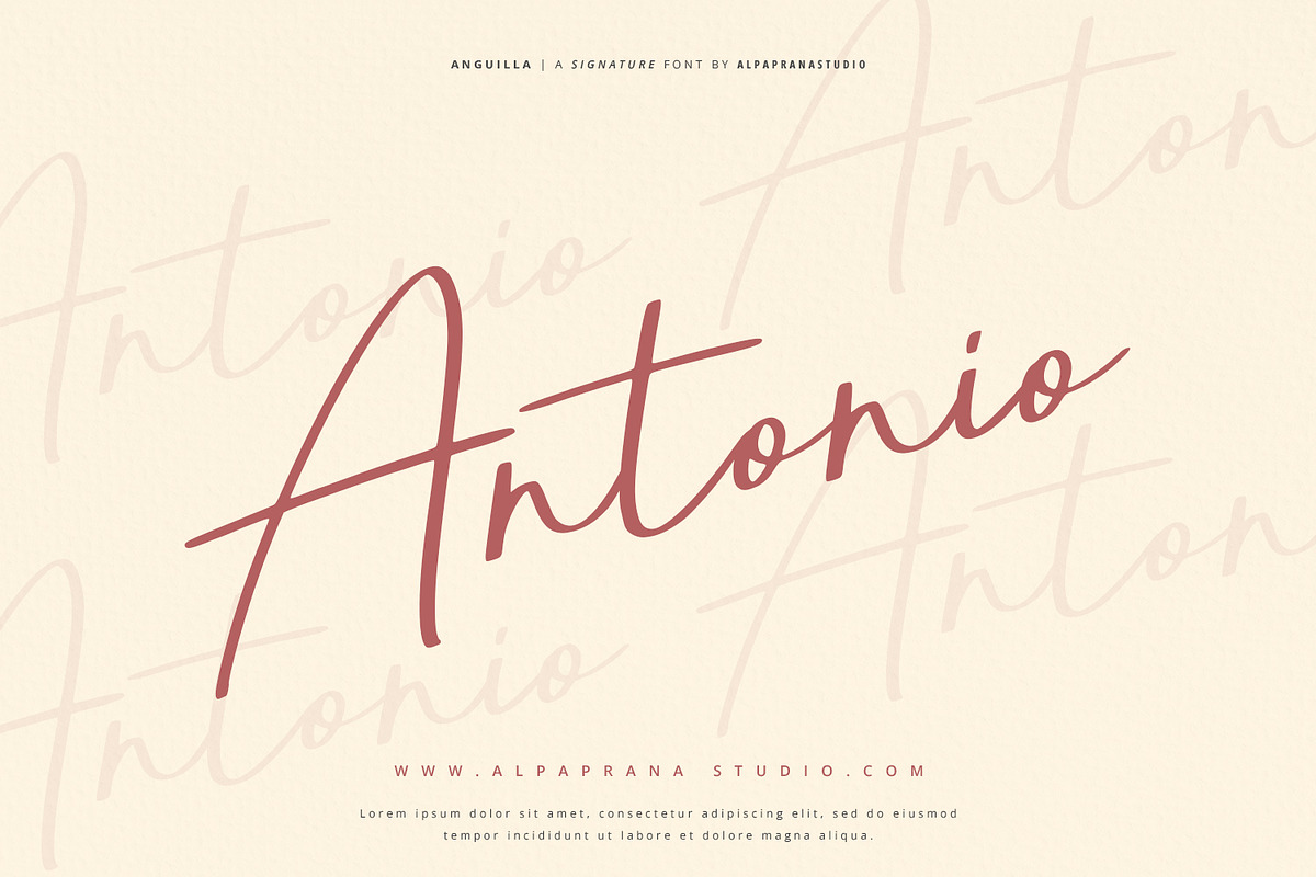 Anguilla - Signature Font, a Script Font by Alpaprana (Photo 2 of 13)