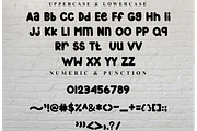 School Notes, a Script Font by FreshTypeINK (Thumbnail 8 of 8)