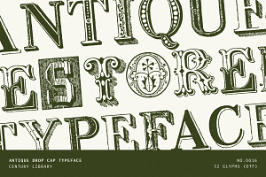 Decorative Vintage Drop Cap Font, a Serif Font by Century Library